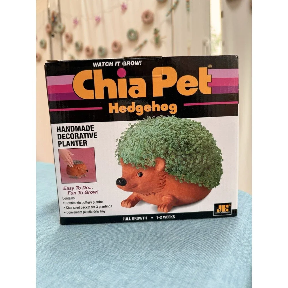 Chia Pet Hedgehog Decorative Pottery Planter with Seed Pack, Terra Cotta, NEW